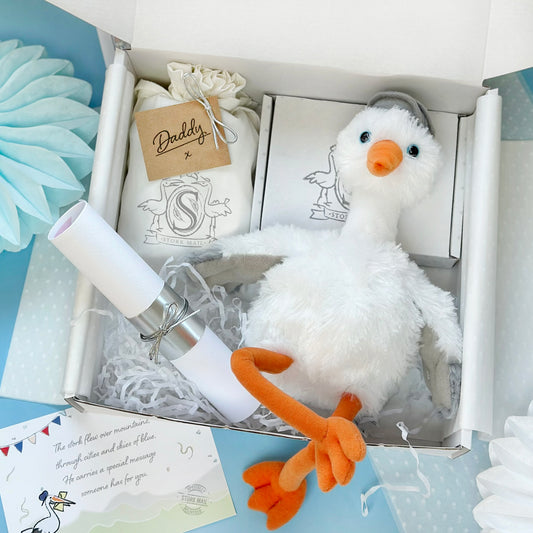 Dad To Be Cuddly Stork Gift Set