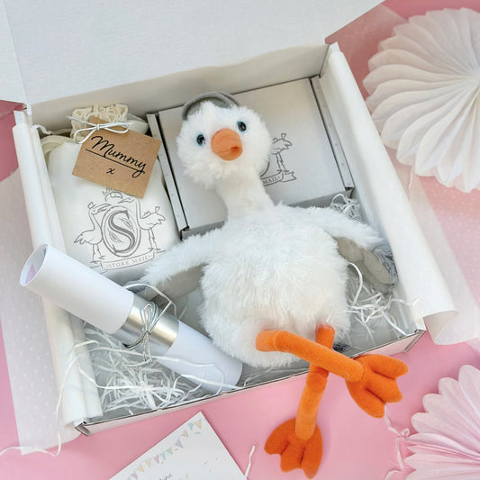 Mum To Be Cuddly Stork Gift Set